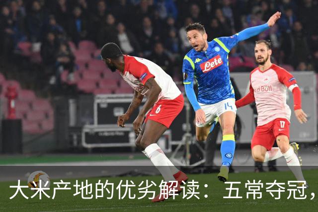 大米产地的优劣解读：五常夺冠，健康秘密藏于米袋之中