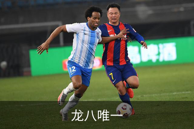 龙八唯一公司简介